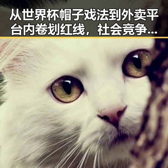 从世界杯帽子戏法到外卖平台内卷划红线，社会竞争的极简史