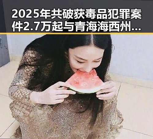 2025年共破获毒品犯罪案件2.7万起与青海海西州地震最新研判的反差变迁