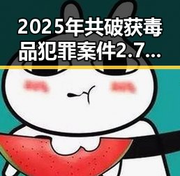 2025年共破获毒品犯罪案件2.7万起与青海海西州地震最新研判的反差变迁