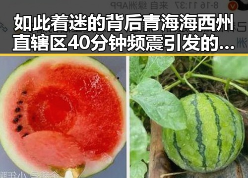如此着迷的背后青海海西州直辖区40分钟频震引发的娱乐圈秘密