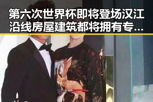 第六次世界杯即将登场汉江沿线房屋建筑都将拥有专属数字身份证展现未来场景