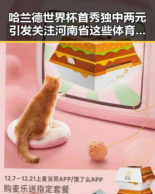哈兰德世界杯首秀独中两元引发关注 河南省这些体育场馆设施迎来新变化
